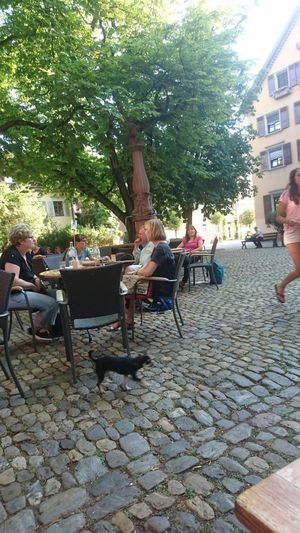 Sitting outside in an adorable quiet square with cobblestones, trees and a fountain. Perfection. at Adelhaus in Freiburg