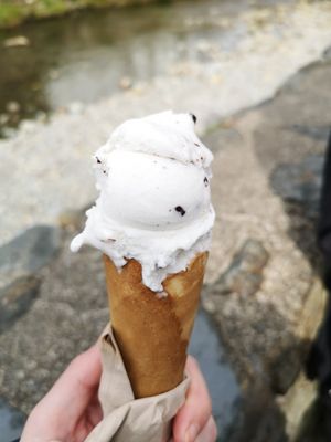 Coconut and chocolate at Glaslyn in Beddgerlet