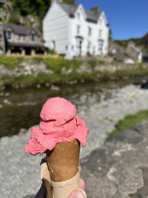 Raspberry sorbet   at Glaslyn in Beddgerlet