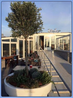 ZZ at Zilte Zoen in Bergen Aan Zee