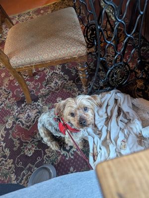  at The Golden Heart Inn in Gloucester