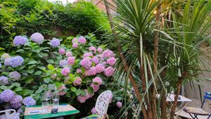 Giardino at Sementis in Pietrasanta