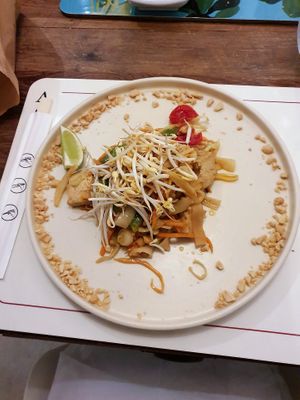  at Sementis in Pietrasanta