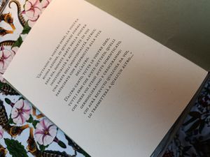  at Sementis in Pietrasanta