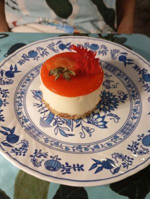  at Sementis in Pietrasanta