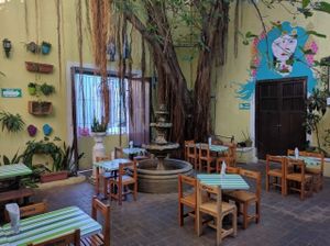 patio at Avocado Vegetariano - Centro in Merida