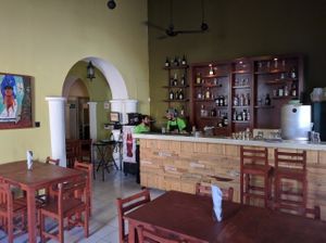 bar at Avocado Vegetariano - Centro in Merida
