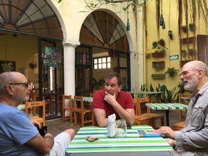 outdoor courtyard seating under the banyan tree at Avocado Vegetariano - Centro in Merida