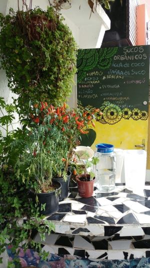 terrace  at Restaurante Cultura VEG in Sao Paulo