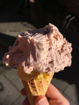scoops are huge! plum-cinnamon + pumpkin at Werners Eiscafe in Wismar