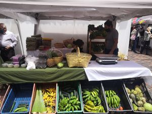 The vegetable stall at Slow Food Mercado de la Tierra in Bogota