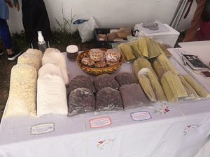 Organic and vegan oats and cacao at Slow Food Mercado de la Tierra in Bogota