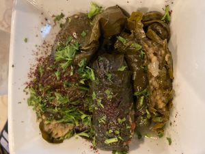 Grape leaves (ask to make it vegan) tangy taste, a bit mushy at Marrakesh Mediterranean Cuisine in Jacksonville