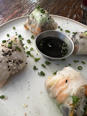 Summer Rolls  at Teva in Rio De Janeiro