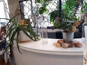 Deco at Kitchen Garden in Bordeaux