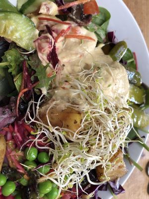 Buddha Bowl (partially eaten, sorry! 😂) at Beet Bar in Margate