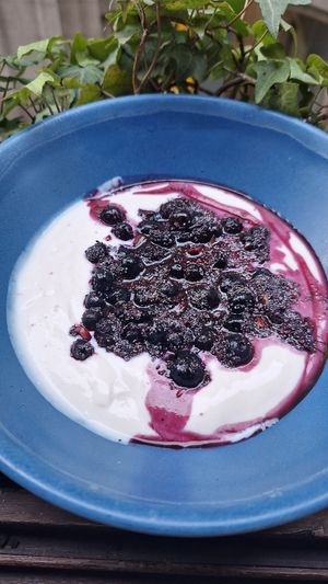 blueberry superfood bowl with soy yogur at The Sister in Brussels