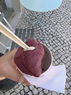 Schokolade und Frucht  at Gelateria Alice in Sagres