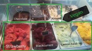 7 vegan flavors : the almond one is delicious!! at Gelateria Alice in Sagres