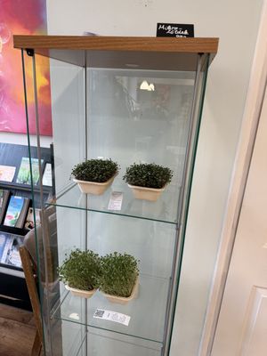 Fresh greens  at Eletkert - Garden Life in Szombathely