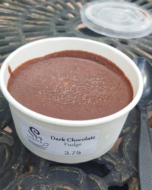 Dark chocolate fudge at Agora Downtown Coffee Shop in Fredericksburg