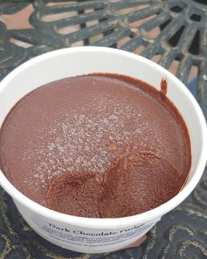 Vegan ice cream, made in house at Agora Downtown Coffee Shop in Fredericksburg