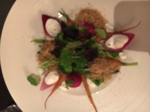 Garden Salad at Fristelse Cafe in Oslo