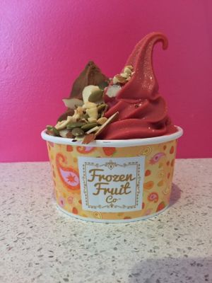 Coconut & Cacao and Raspberry & Orange FroFru with Almonds, Pumpkin Seeds & Mixed Nuts.  at Frozen Fruit Co in Santa Monica
