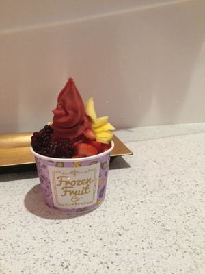 Raspberry & Orange FroFru at Frozen Fruit Co in Santa Monica