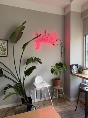   at Verde Juice Bar in Winnipeg