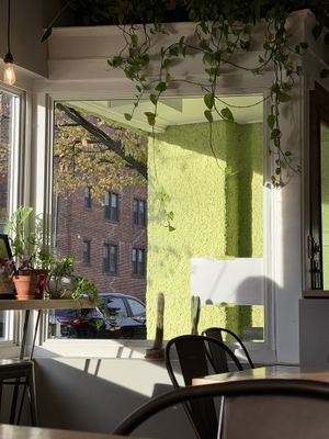   at Verde Juice Bar in Winnipeg