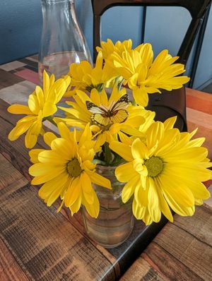  at Particle Cafe in Avondale Heights