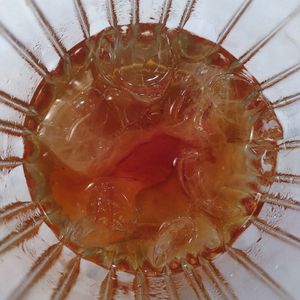 Rob Roy at Stem & Glory in Cambridge