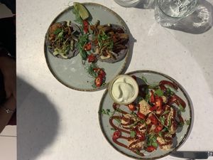 Fish Tacos and Cauliflower Buffalo Wings   at Stem & Glory in Cambridge