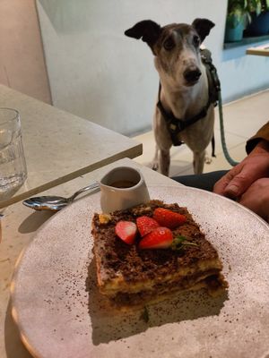 Caramel tiramisu (and Cooper the greyhound) at Stem & Glory in Cambridge