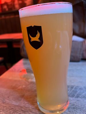 Brew dog beer 🍺   at Bloc Bar Glasgow in Glasgow