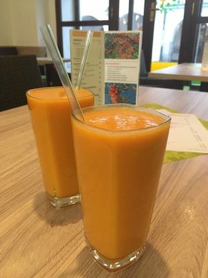 Sea Buckthorn fresh! Make something for your health! at Slunce in Ceske Budejovice