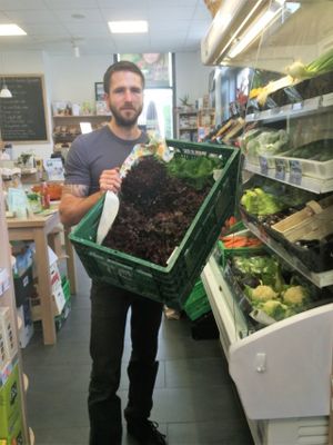 Vegtables and Fruits out of our own Garden at ManHu in Bad Neuenahr-ahrweiler