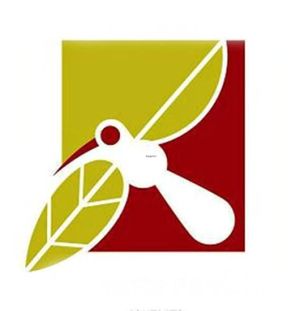 Panamorarte at Panamorarte in Bogota