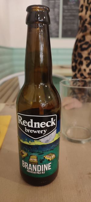 Nice local hoppy beer at Suka in Suances