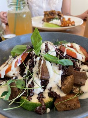 Foniosalat  at Velobis in Vienna