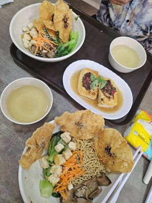 Good as usual "~ 3/6/24 at FIREFLY 萤火虫 by Thunder Tree in Central Singapore