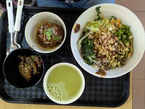 Lei Cha, bitter gourd and tempeh at FIREFLY 萤火虫 by Thunder Tree in Central Singapore