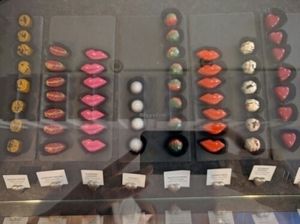 some things are vegan at WOW Chocolates in Bellevue