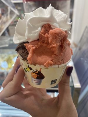 Sorbetto di fragola e chiocciato fondente della Venezuela con panna vegetale   at Tennis Bar Di Cermignani in Francavilla Al Mare