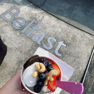 Vegan lemon sorbet  at Spoon Street in Belfast