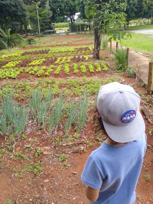 Horta própria at Villa Vegana in Brasilia