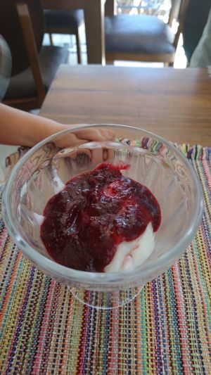 delicious desert included in price at Villa Vegana in Brasilia