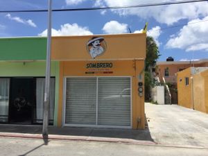 Falafel sombrero  at Sombrero Falafel in Cozumel