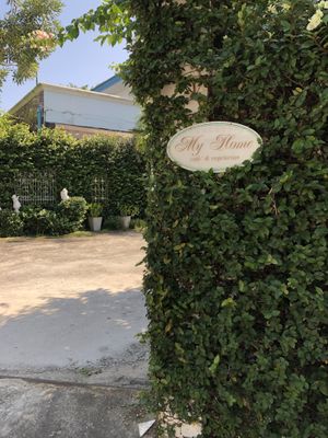 Entry Singh at My Home Cafe & Vegetarian in Chiang Mai